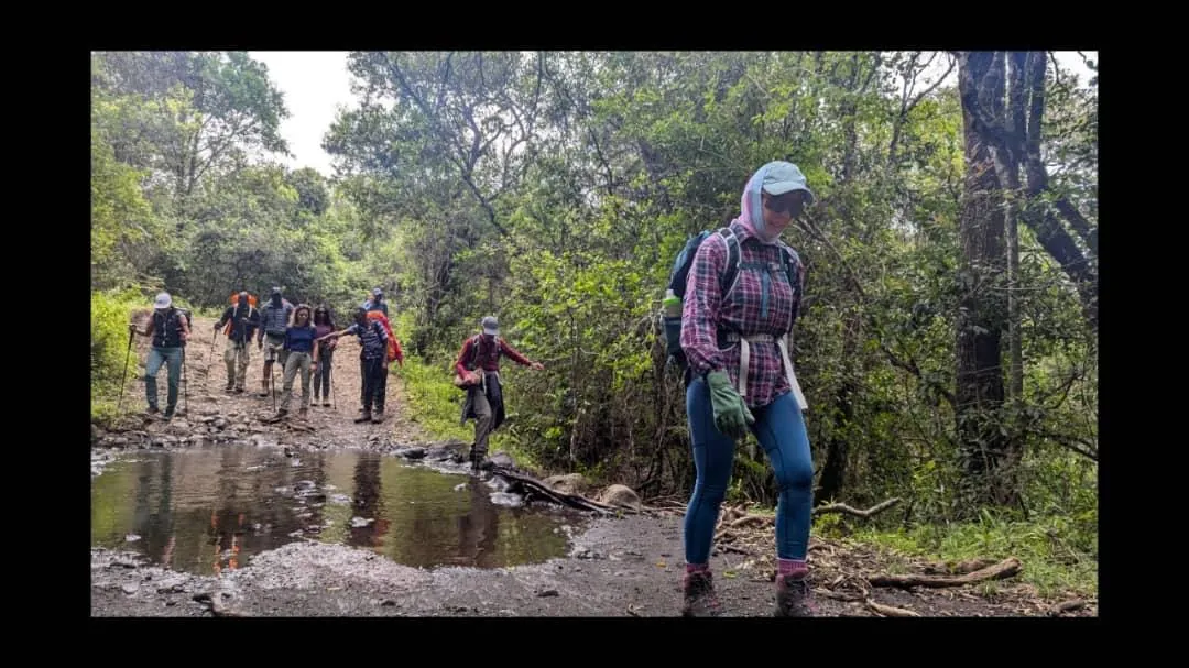 Mount Kilimanjaro trekking landscape